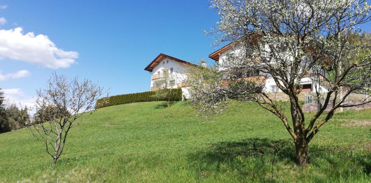 Agriturismo Ferienhof Gschloier (Adults Only) Laion Extérieur photo